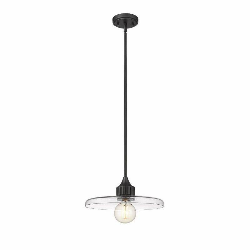 Z-Lite Paloma 1 - Light Pendant in  Matte Black