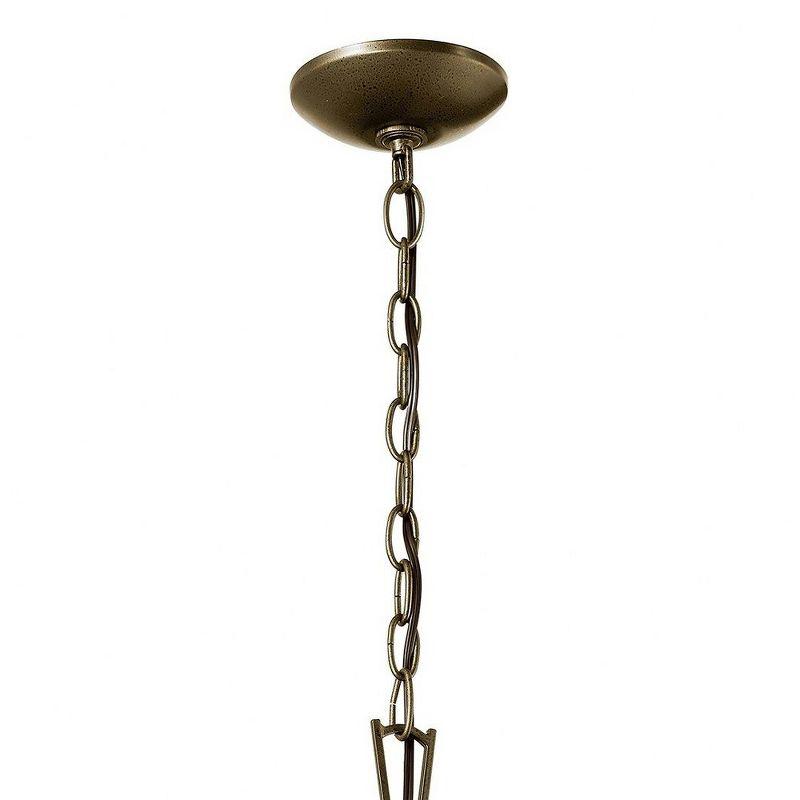 Character Bronze 4-Light Indoor/Outdoor Glass Pendant