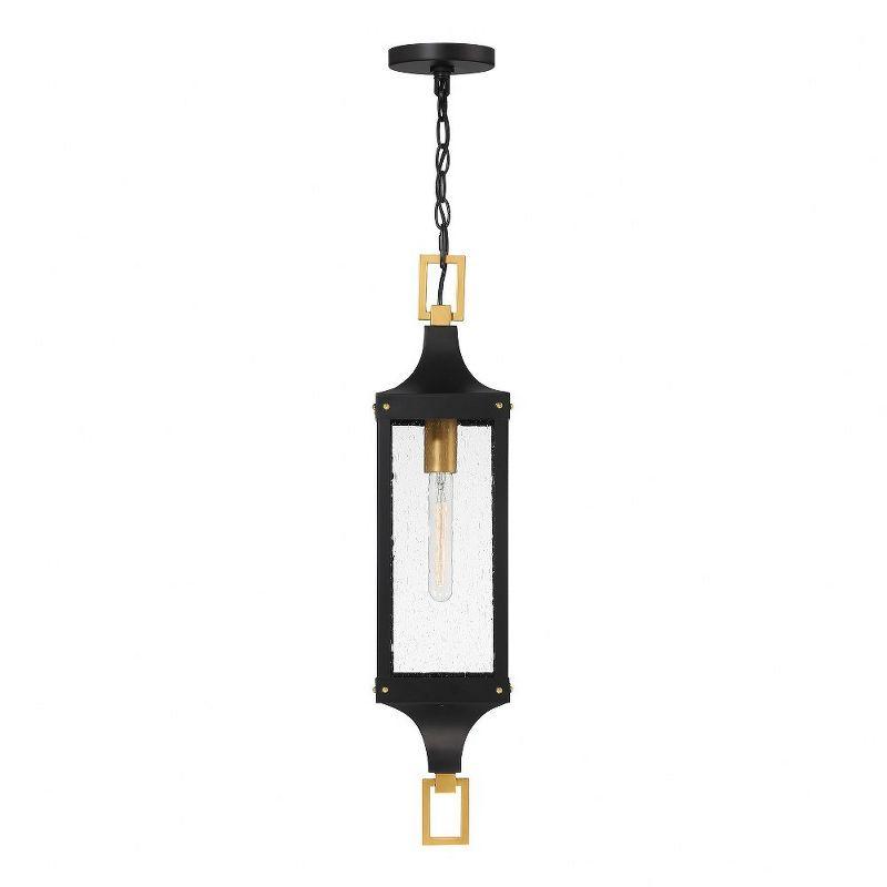 Matte Black and Brass Outdoor Pendant with Seeded Glass Shade