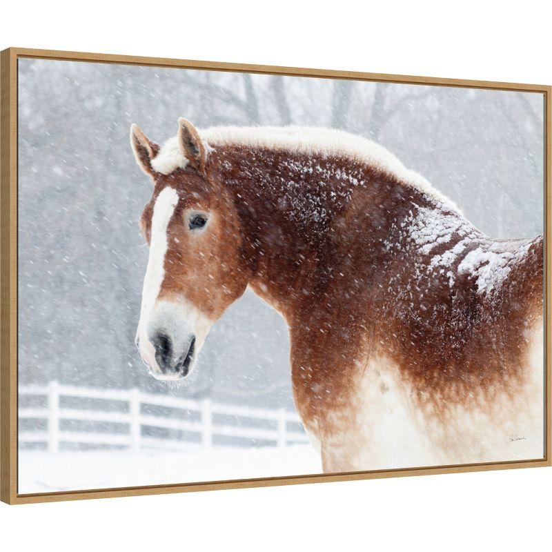 Amanti Art Snowy Draft Horse by Sue Schlabach Framed Canvas Wall Art