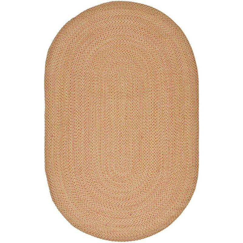 Braided BRD164 Hand Woven Area Rug - Multi - 3'x5' Oval - Safavieh.