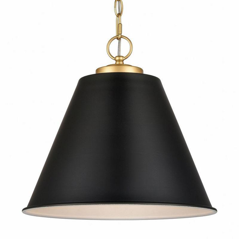 Matte Black and Antique Brass 14" Metal Pendant Light