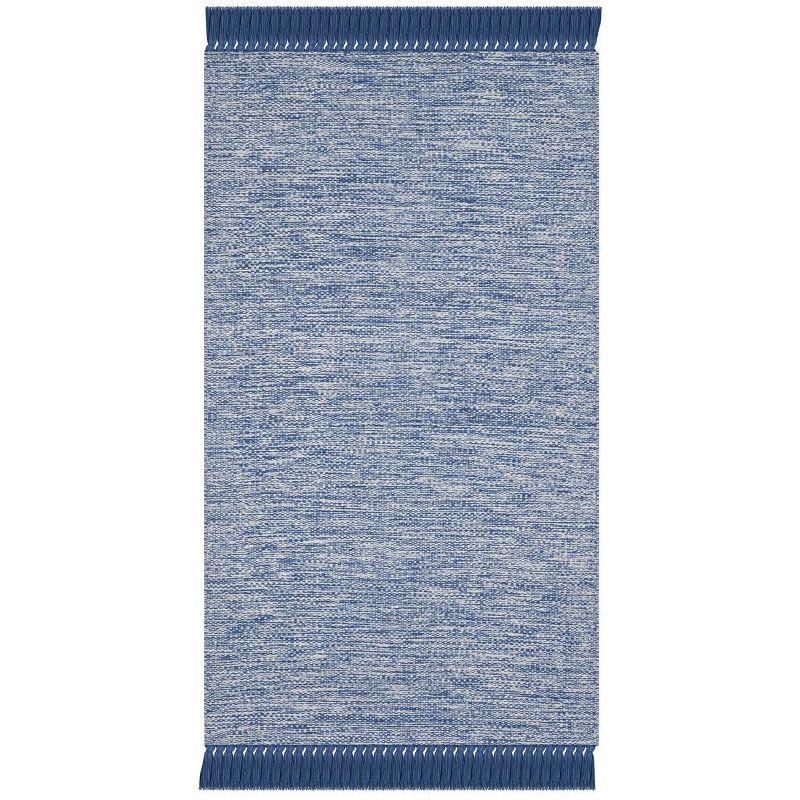 Montauk MTK610 Hand Woven Indoor Rug - Safavieh