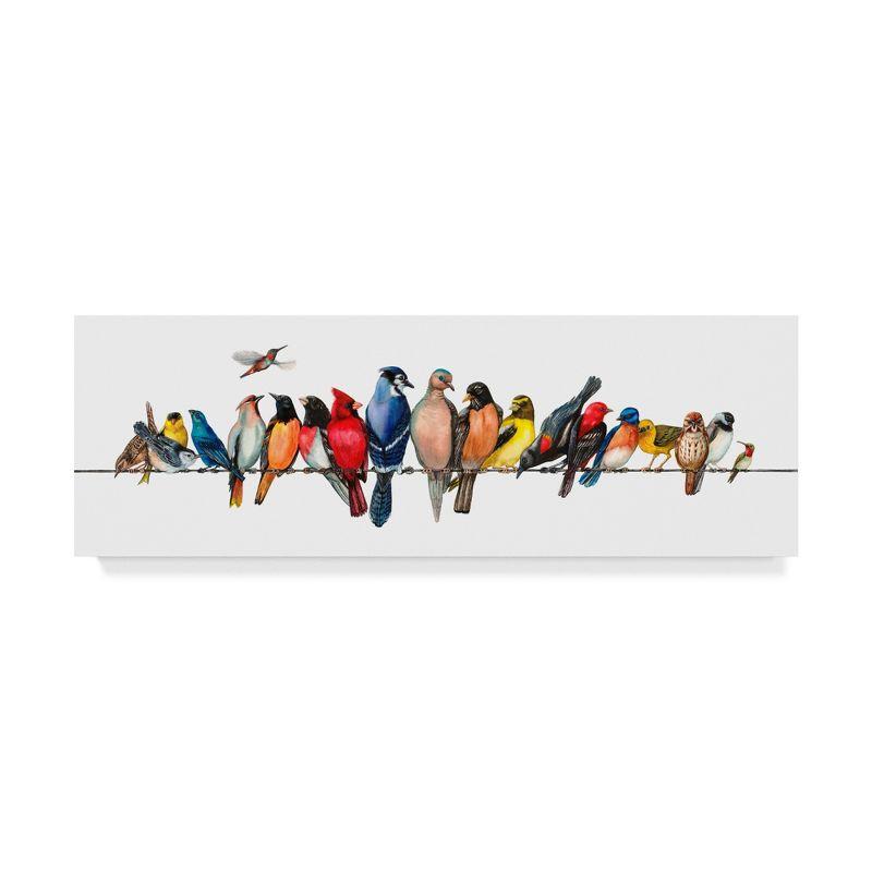 Large Colorful Bird Menagerie Canvas Print in White Frame