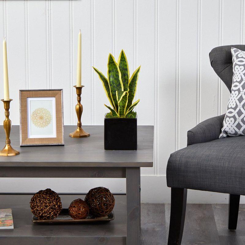 Elegant 25" Silk Sansevieria in Sleek Black Planter