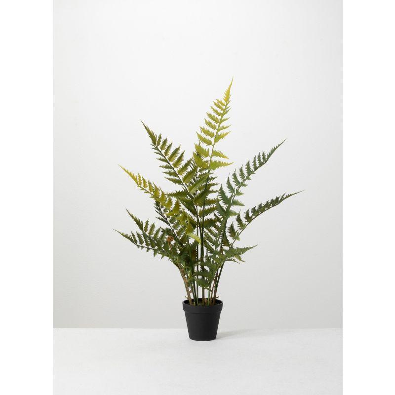 Verdant Charm 12" Plastic Potted Outdoor Fern