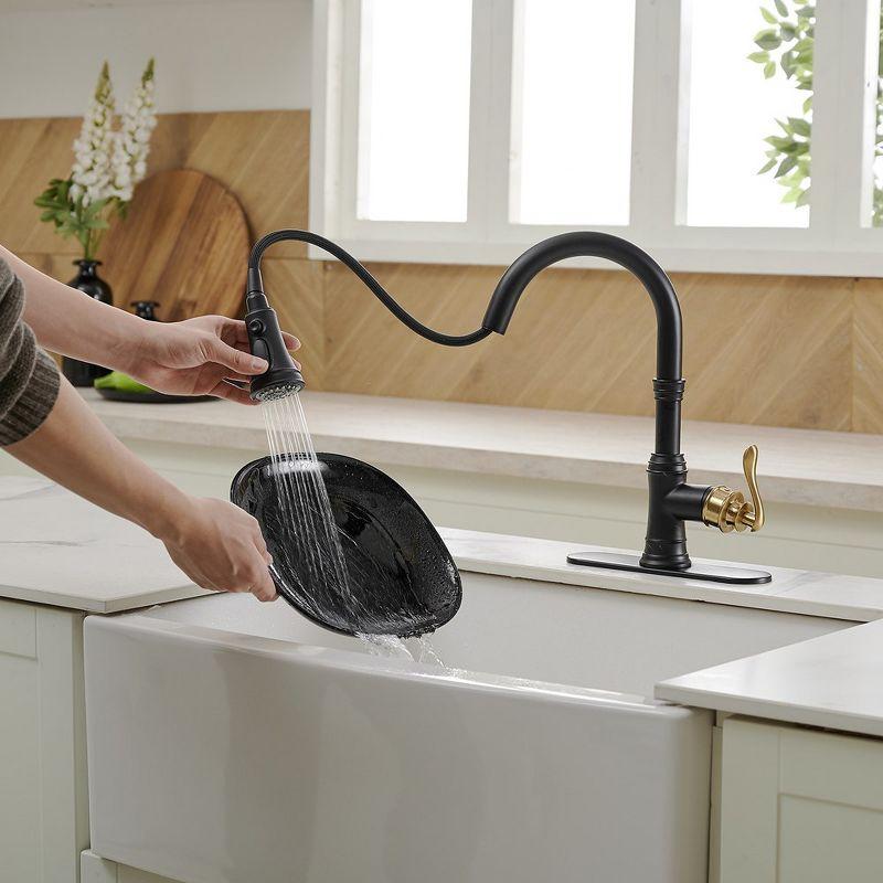 Matte Black and Gold Single-Handle Pull-Down Kitchen Faucet