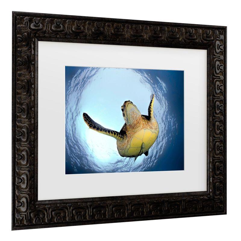 Trademark Fine Art - Henry Jager Green Turtle In Snells Window Matted Framed Art - 11x14