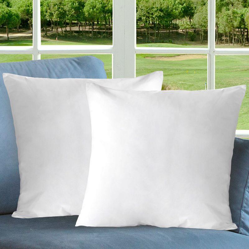 Cheer Collection Throw Pillow (Set of 2)