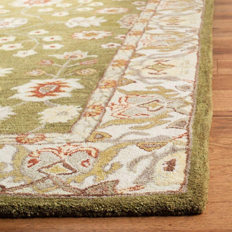 Anatolia AN562 Hand Tufted Area Rug  - Safavieh