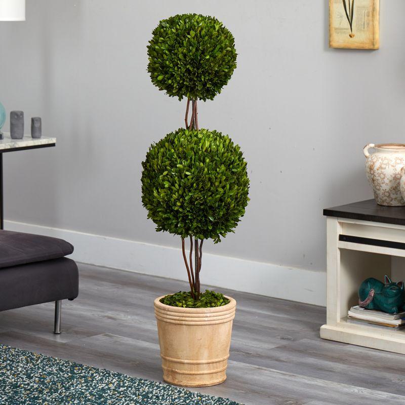 Nearly Natural 4-ft Preserved Boxwood Double Ball Topiary Tree in Planter