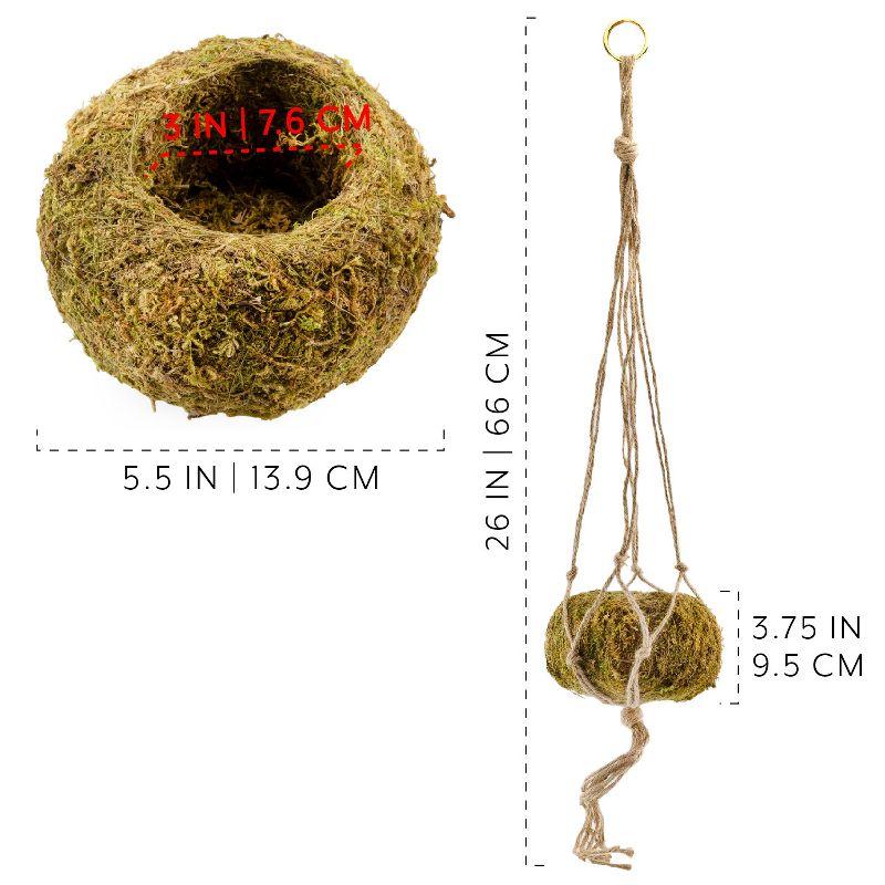 Esterno Kokedama Hanging Planter Kits, 3pk; Japanese Moss Ball Plant Holder