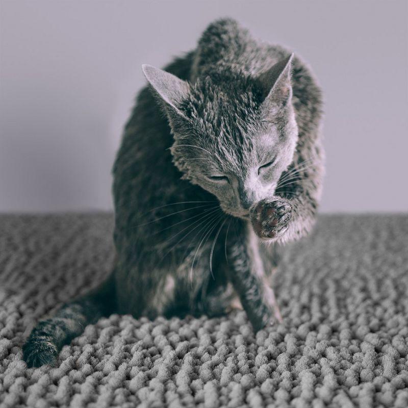 CatGuru Cat Litter Mat, Waterproof Litter Box Mat, Non Slip Kitty Litter Mat, Machine Washable Litter Trapping Mat (XL, Gray/Heavy-Duty)