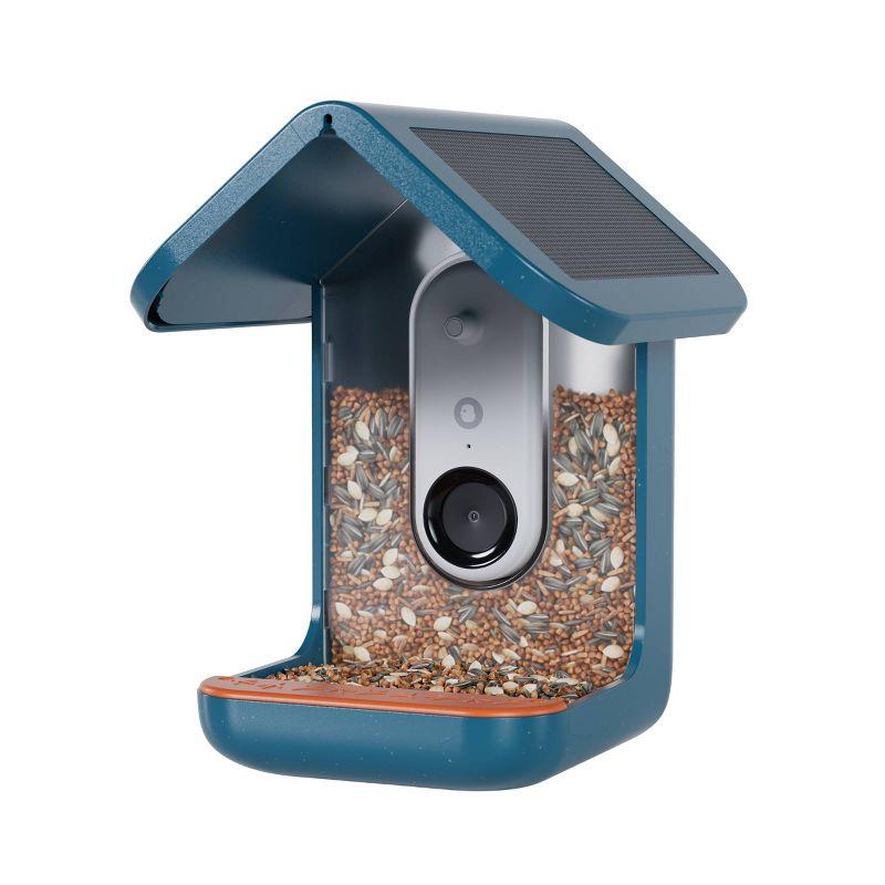 Bird Buddy Smart Bird Feeder with Camera and Solar Roof: Weather-Resistant, Hanging or Pole Mount