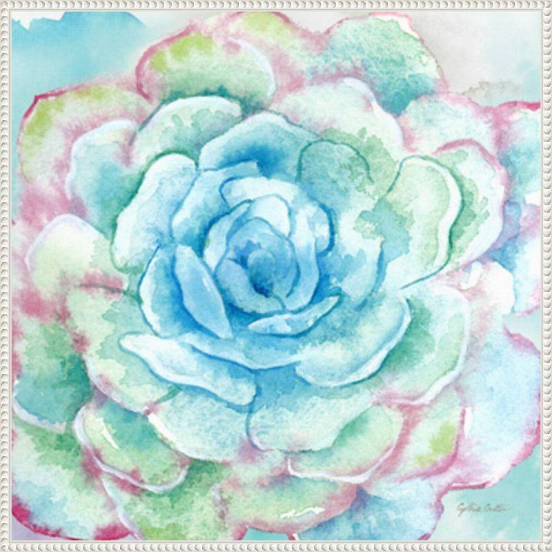 Amanti Art Sweet Succulents I by Cynthia Coulter Framed Wall Art Print