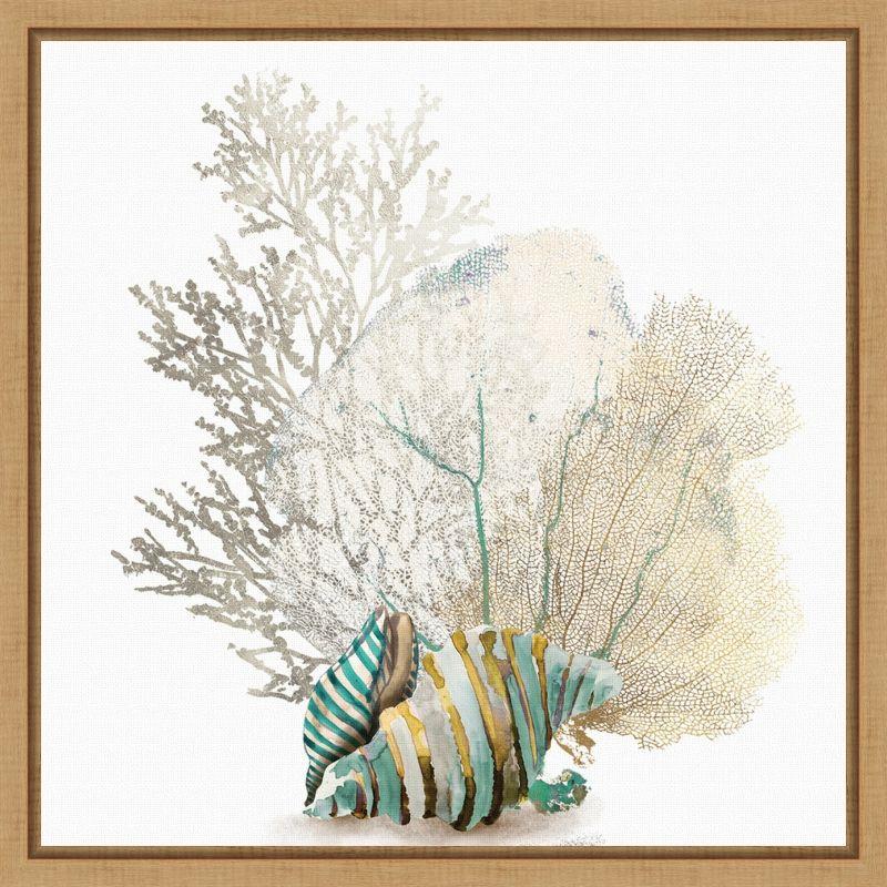 Coral and Conch Shell Canvas Print with Wood Frame