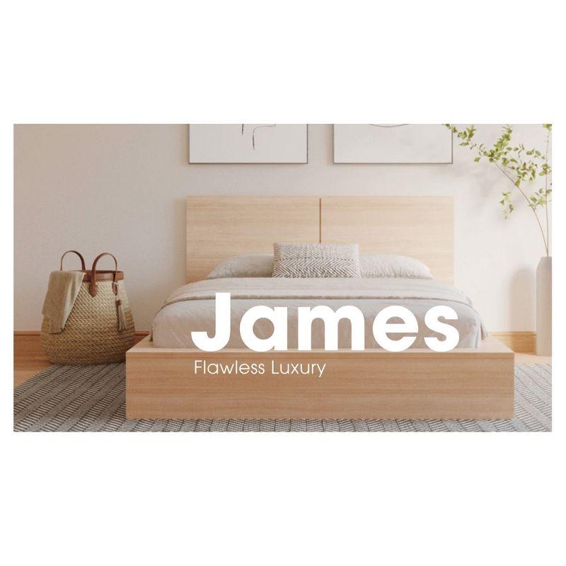 Nexera Queen James Platform Bed Natural Blonde: Engineered Oak Finish, Minimalist Design, No Box Spring Needed