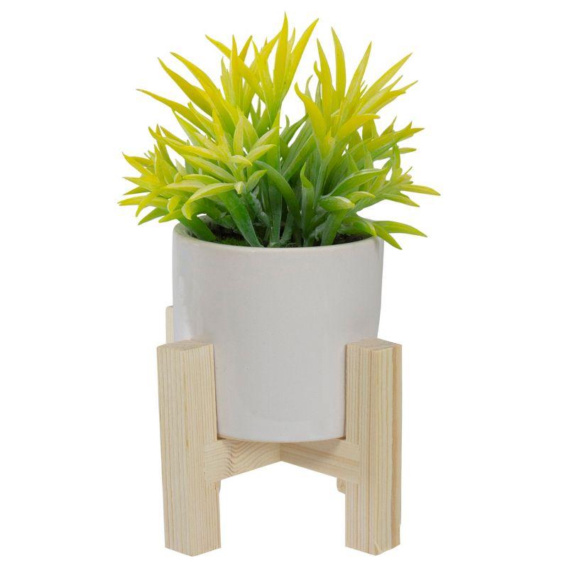 8" Potted Green Artificial Succulent with Wooden Stand