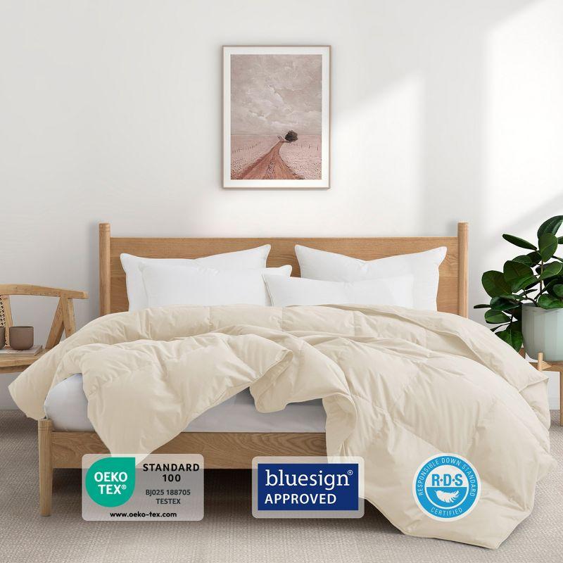 Puredown All Season Organic Cotton Down Comforter - 100% Natural, Chemical-Free, Medium Warmth Duvet Insert, Off-white, Full/Queen