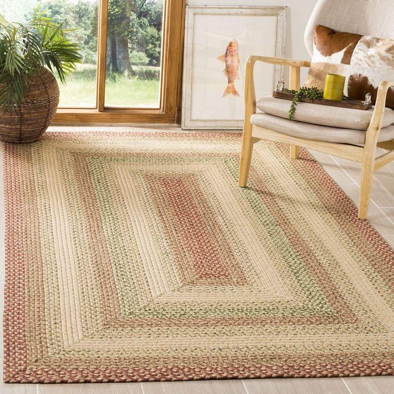 Braided BRD303 Hand Woven Area Rug - Rust/Multi - 5'x8' - Safavieh.
