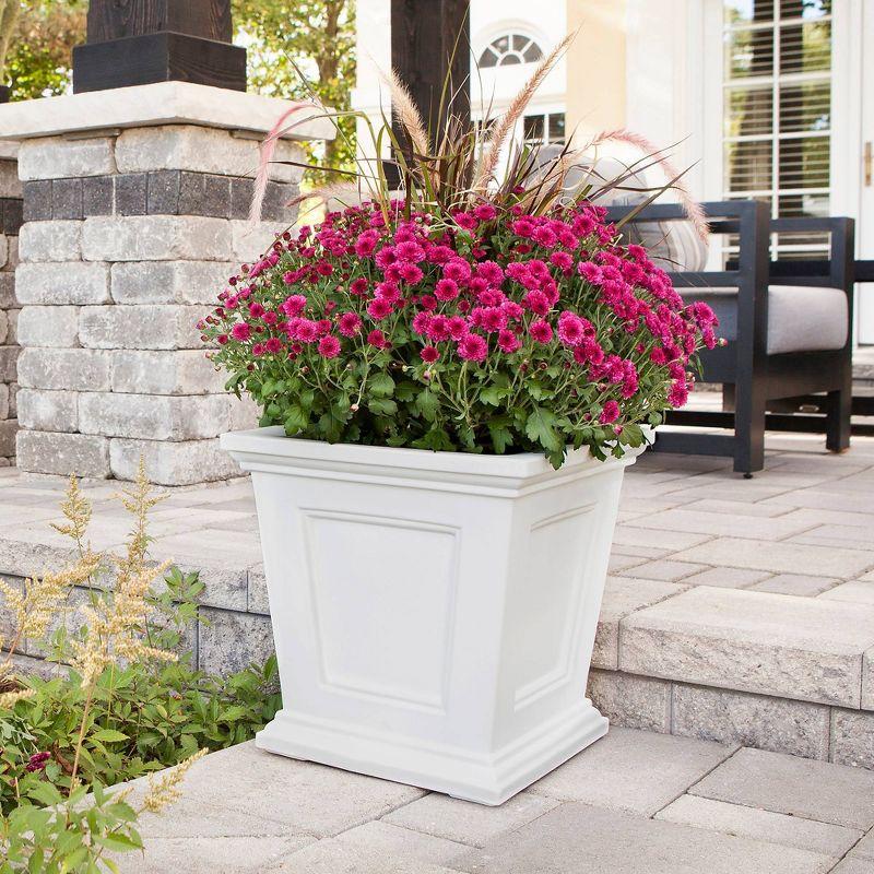 Anastassia Planter Box