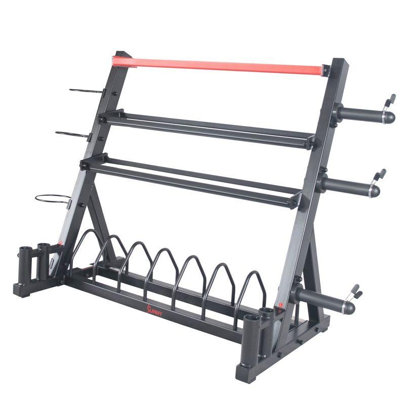 Black Multi-Weight Storage Rack Stand for Home Gym