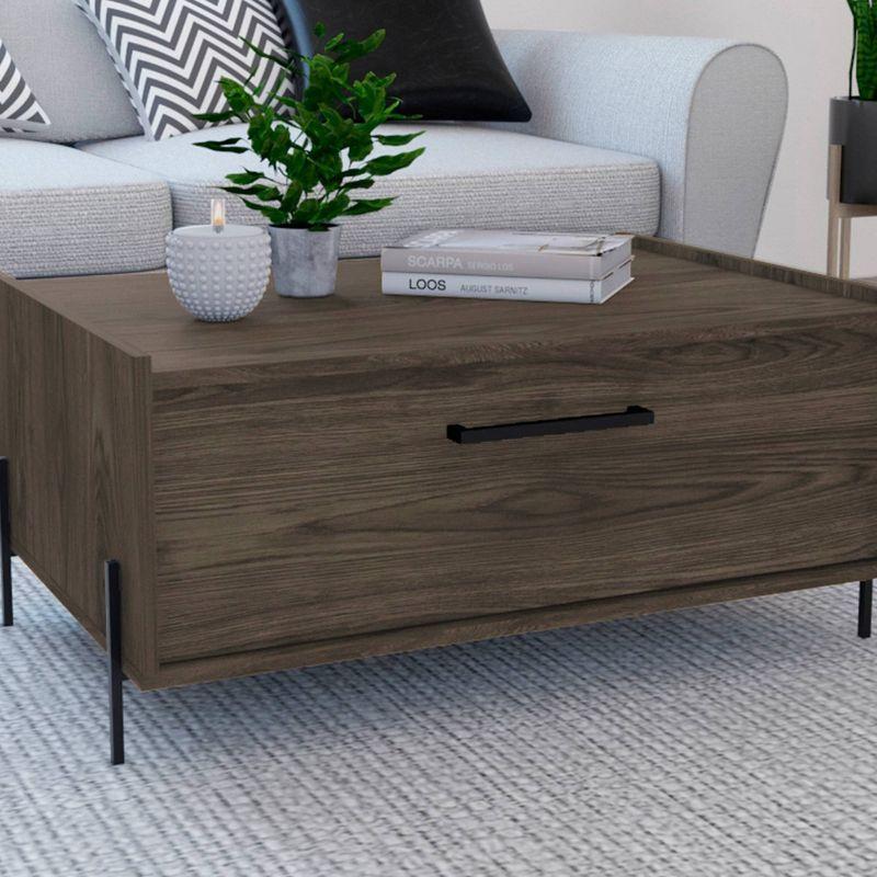 Symmetrical Walnut Wood and Metal Storage Coffee Table