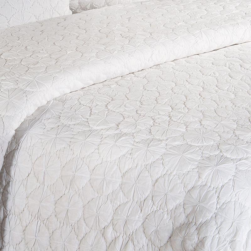 C&F Home Melody Bedding Collection Mara Cotton Standard Sham