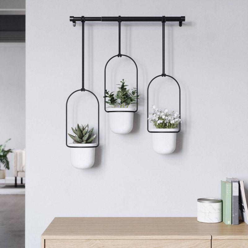 Tri-Flora Hanging Planter