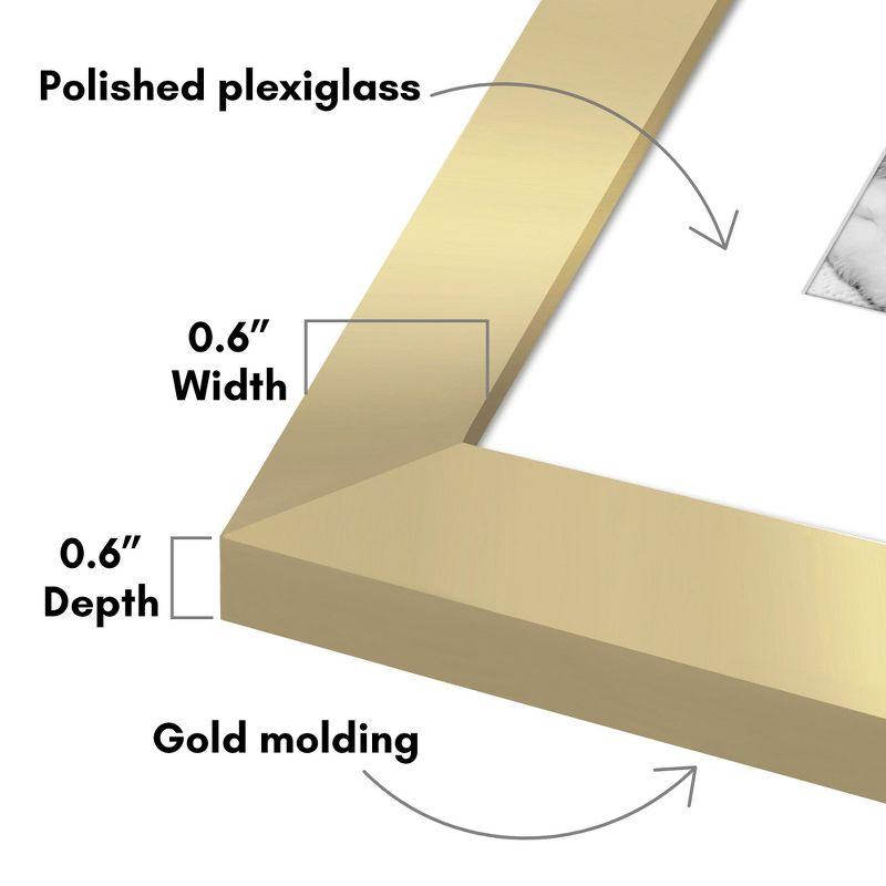 Americanflat 5 Pack of 8x10 Frames with 5x7 Mat - Plexiglass Cover - Gold