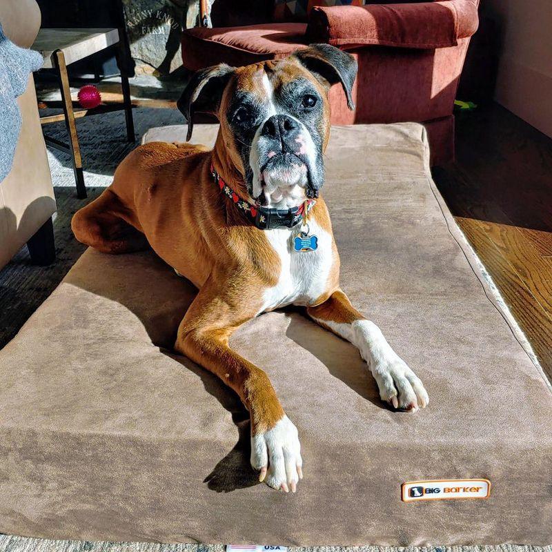 Big Barker 7" Orthopedic Dog Bed - Headrest Edition