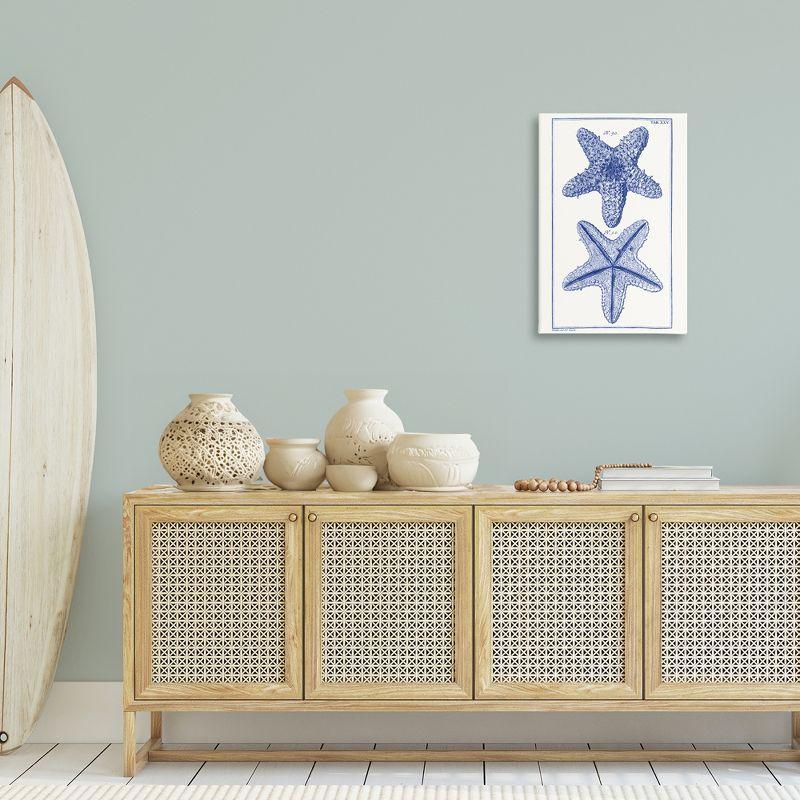 Stupell Industries Blue Starfish Studies, 20" x 30"