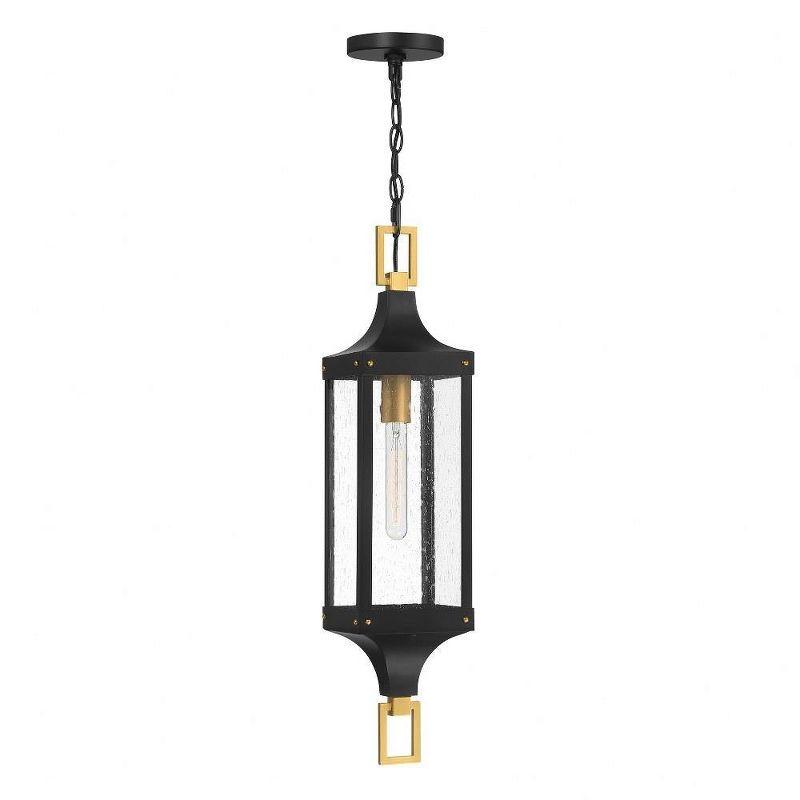 Matte Black and Brass Outdoor Pendant with Seeded Glass Shade