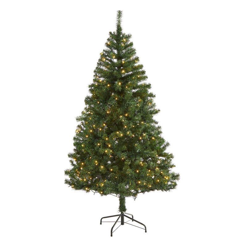 6' Northern Tip Pine Prelit LED Artificial Christmas Tree