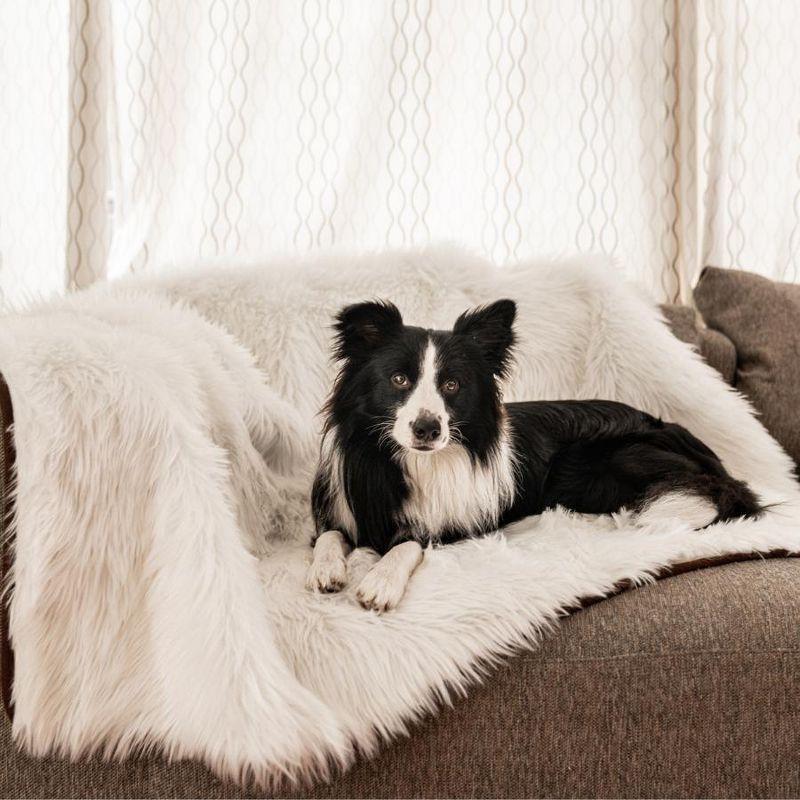 Paw Brands PupProtector Waterproof Dog Blanket