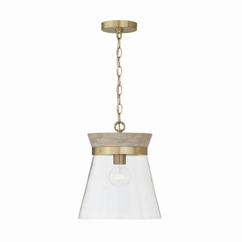 Finn 1 - Light White Wash/Matte Brass Bell Pendant