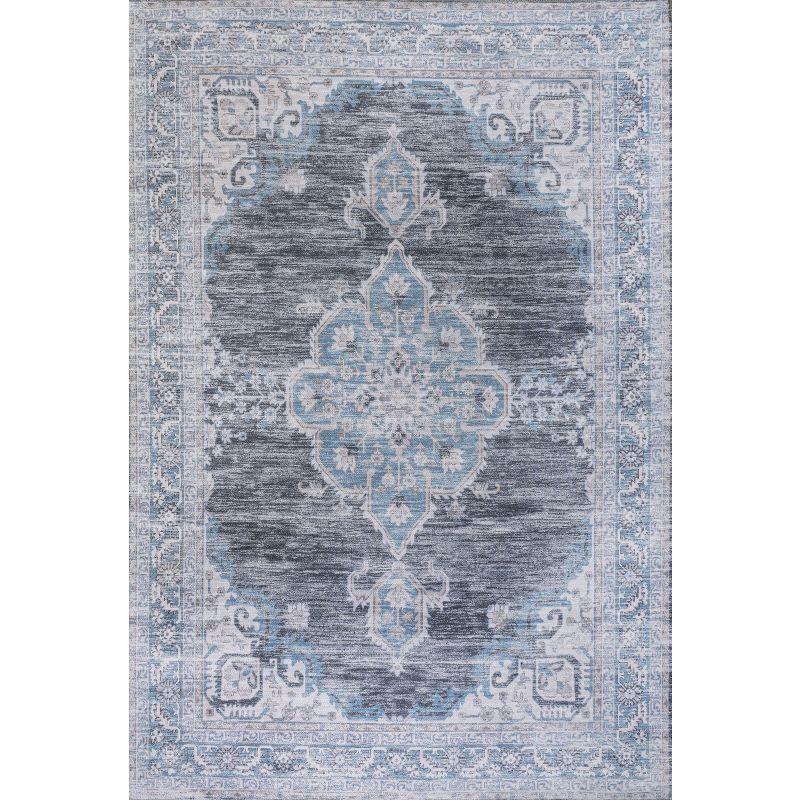 Wincer Chenille Cottage Medallion Machine-Washable Indoor Area Rug -JONATHAN Y