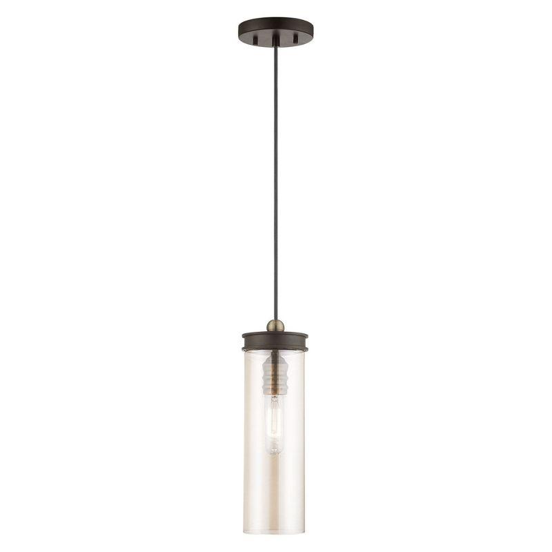 Livex Lighting Art Glass 1 - Light Pendant in  Bronze