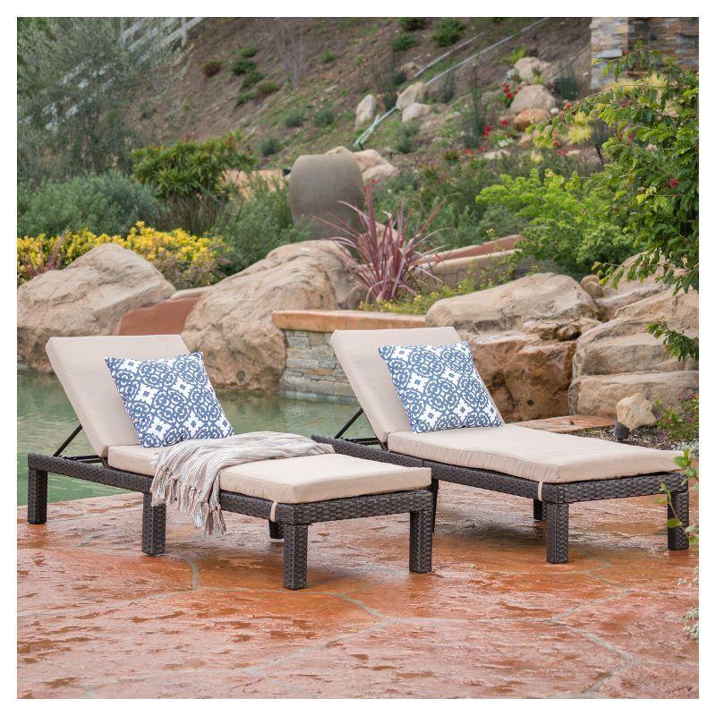 Puerta Set of 2 Wicker Chaise Lounge - Dark Brown - Christopher Knight Home