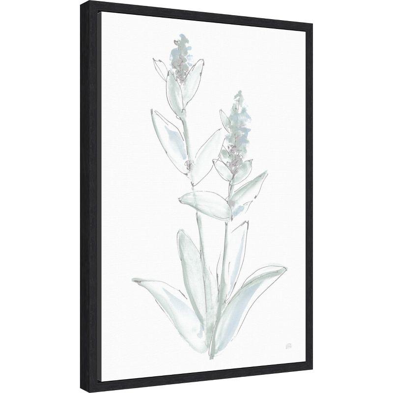 Amanti Art Lambs Ear Sage IV Bleached by Chris Paschke Framed Canvas Wall Art