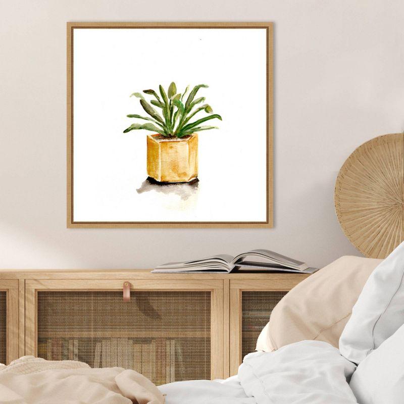 Amanti Art Potted Botanicals II by Marcy Chapman Framed Wall Art Print