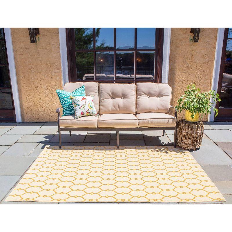 Baja Taio Accent Rug - Momeni