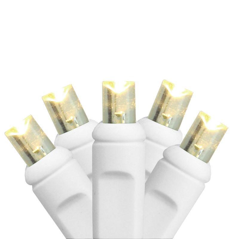 Warm White Electric Outdoor Curtain Christmas Lights