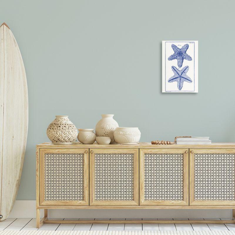 Stupell Industries Blue Starfish Studies, 16" x 24"
