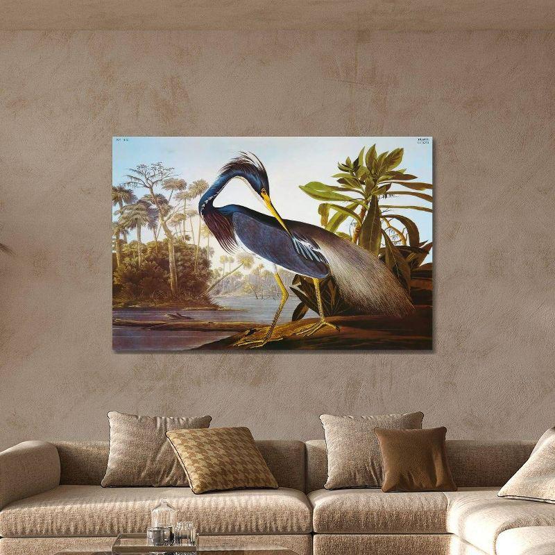 Louisiana Heron From "Birds of America" by John James Audubon Unframed Wall Canvas - iCanvas