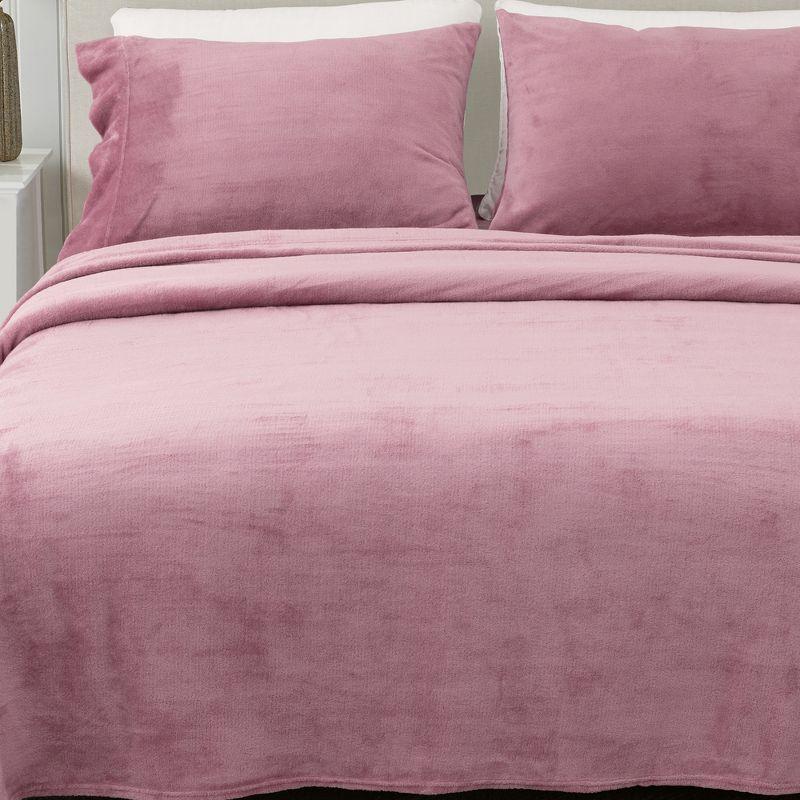 FreshFolds Ultra Soft Micro Plush Velvet Solid Sheet Sets & Reviews | Wayfair