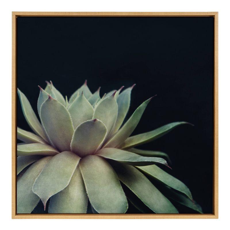 Sylvie Succulent Framed Canvas Wall Art in Natural Wood