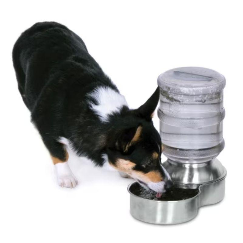 Stainless Steel Gravity-Fed Pet Waterer with Clear Reservoir