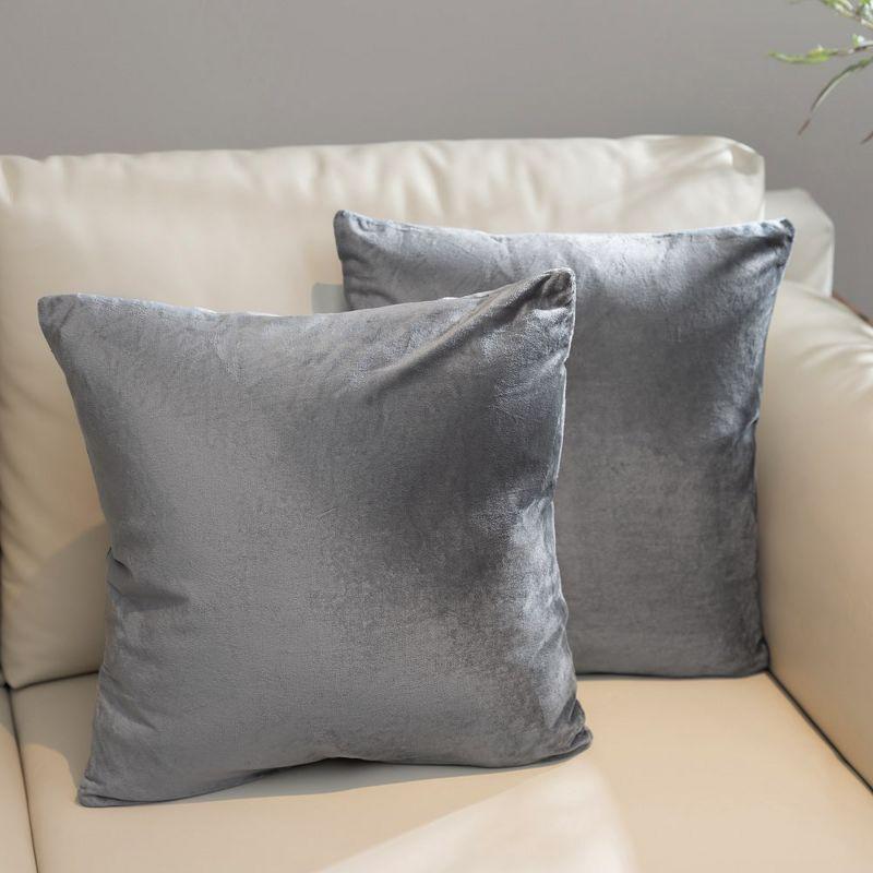 Cheer Collection Throw Pillow (Set of 2)