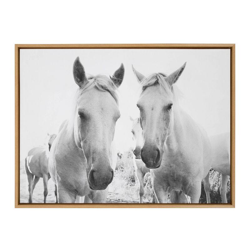 Natural Framed Black and White Horse Canvas Print 31" x 42"